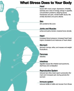What stress does to your body